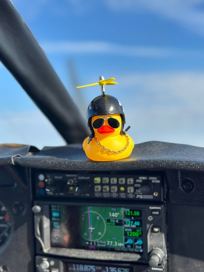 Aviator Duck Car Dashboard